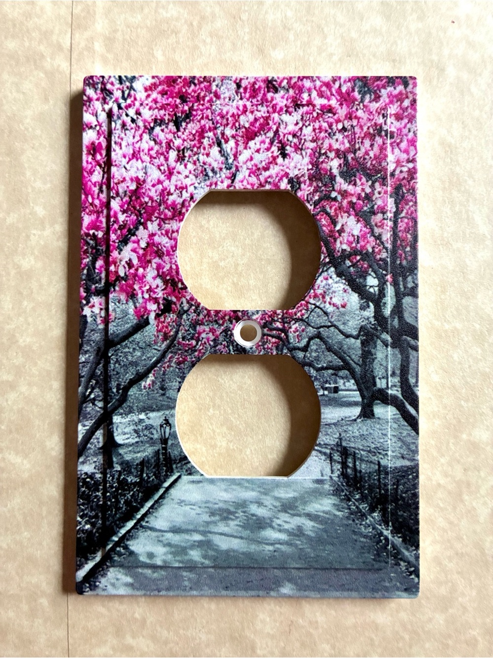 Paris Light Switch Cover